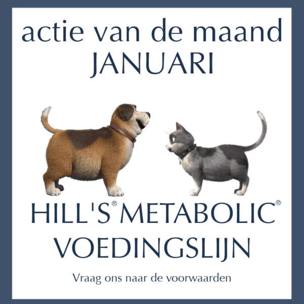 Maandactie Januari