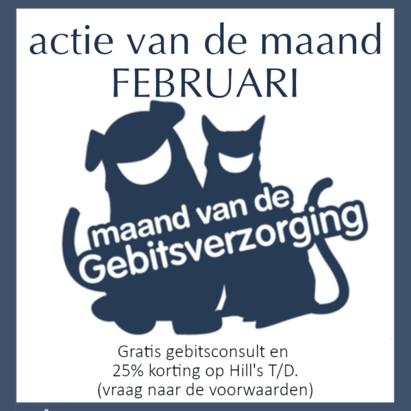 Maandactie Februari